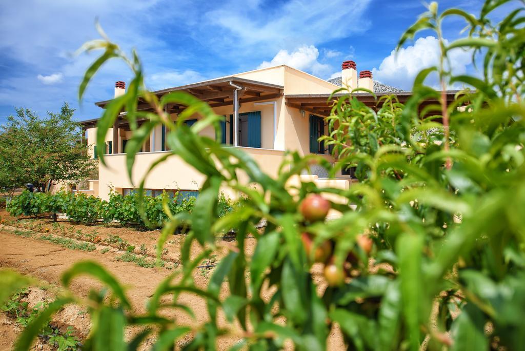 Naxos Cottage Káto Szangrí Kültér fotó